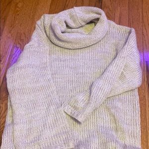 Express turtleneck sweater
